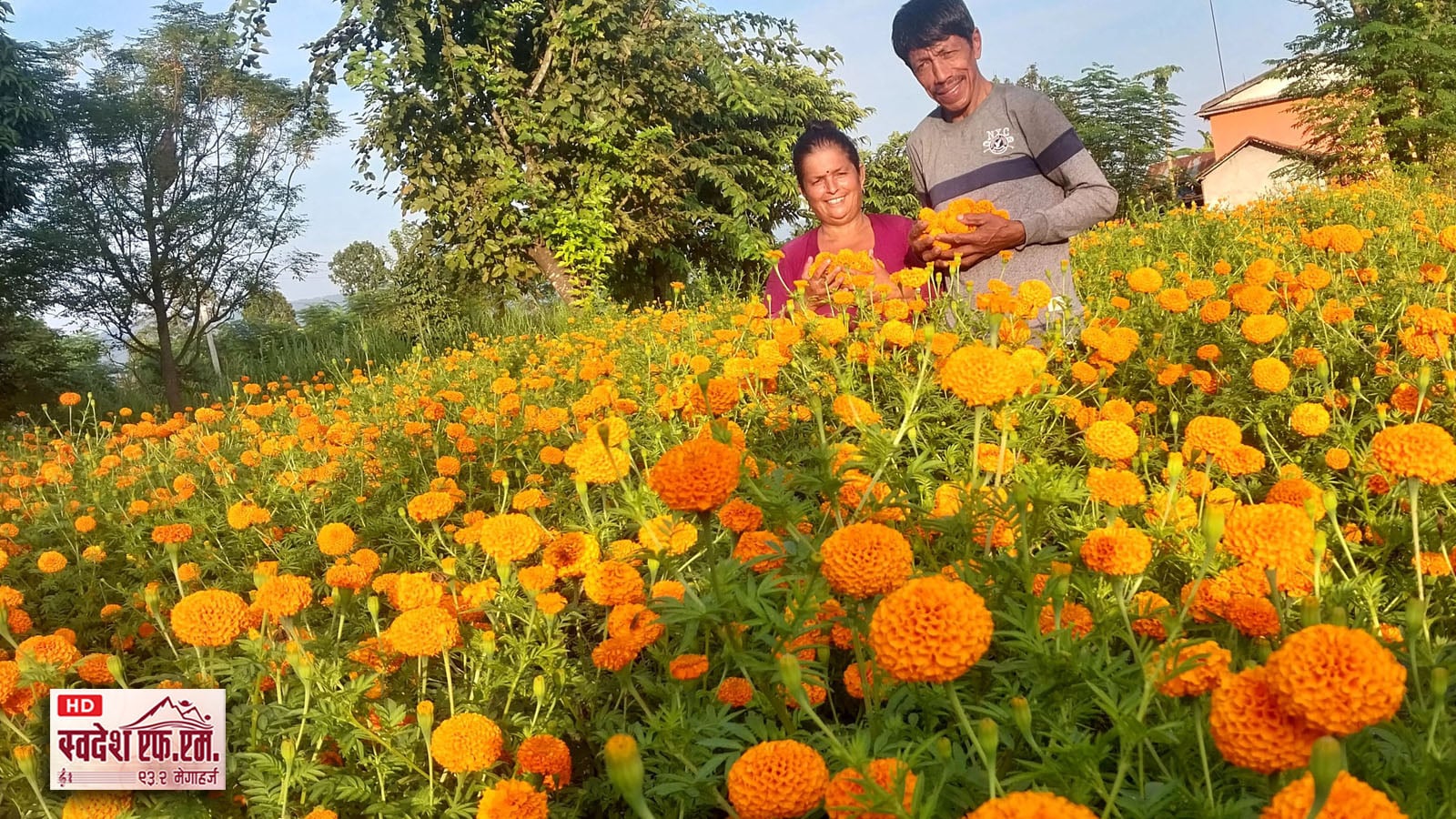 Sayapatri